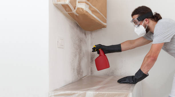 Professional Bathroom Mold Removal technician working in Thompsonville, PA