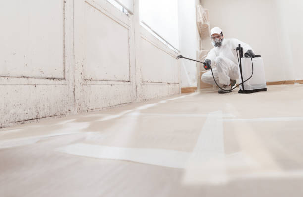 24/7 Emergency Bathroom Mold Removal experts in Thompsonville, PA